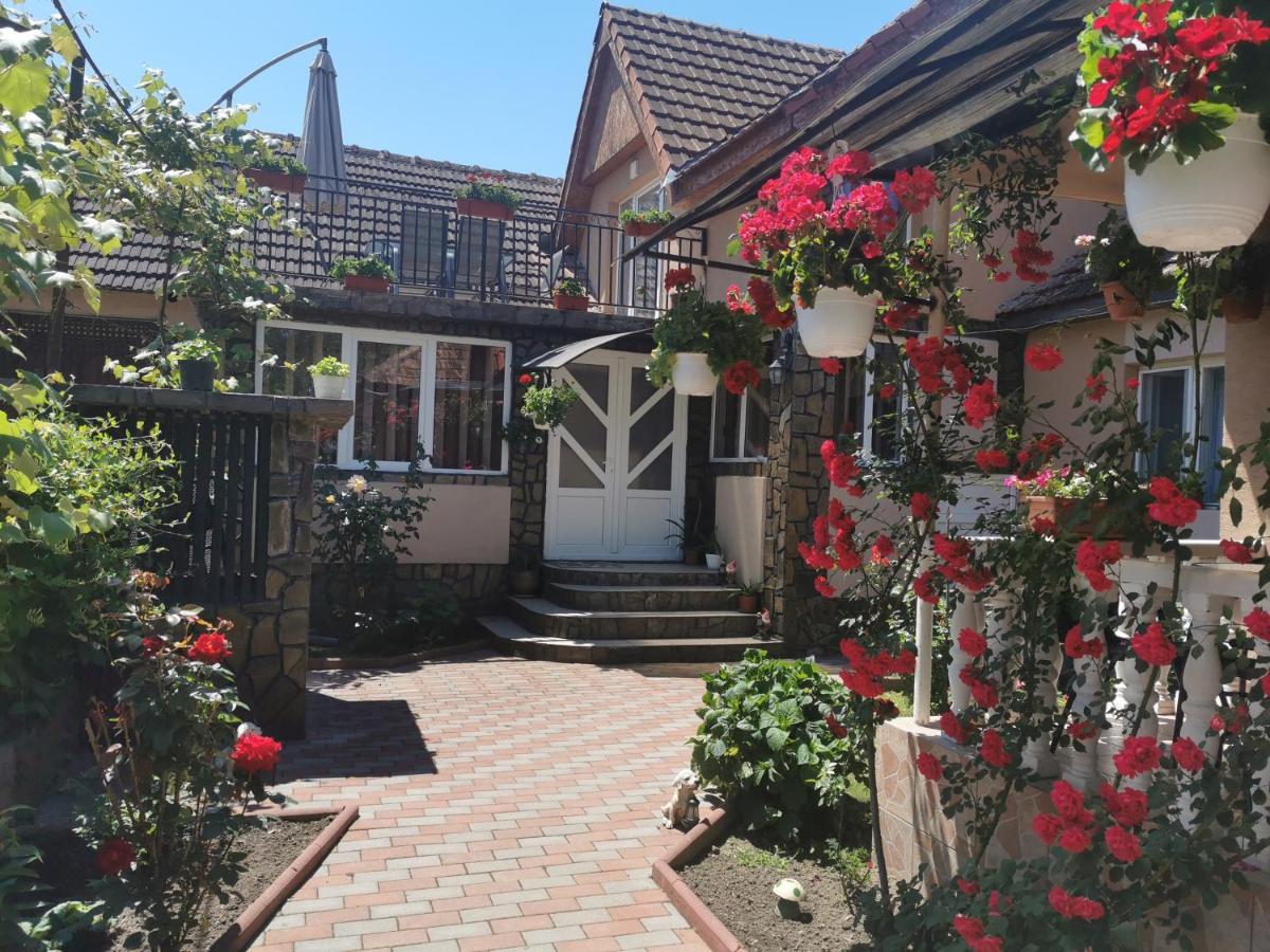 Hotel Casa Lidia Rîu de Mori Zewnętrze zdjęcie