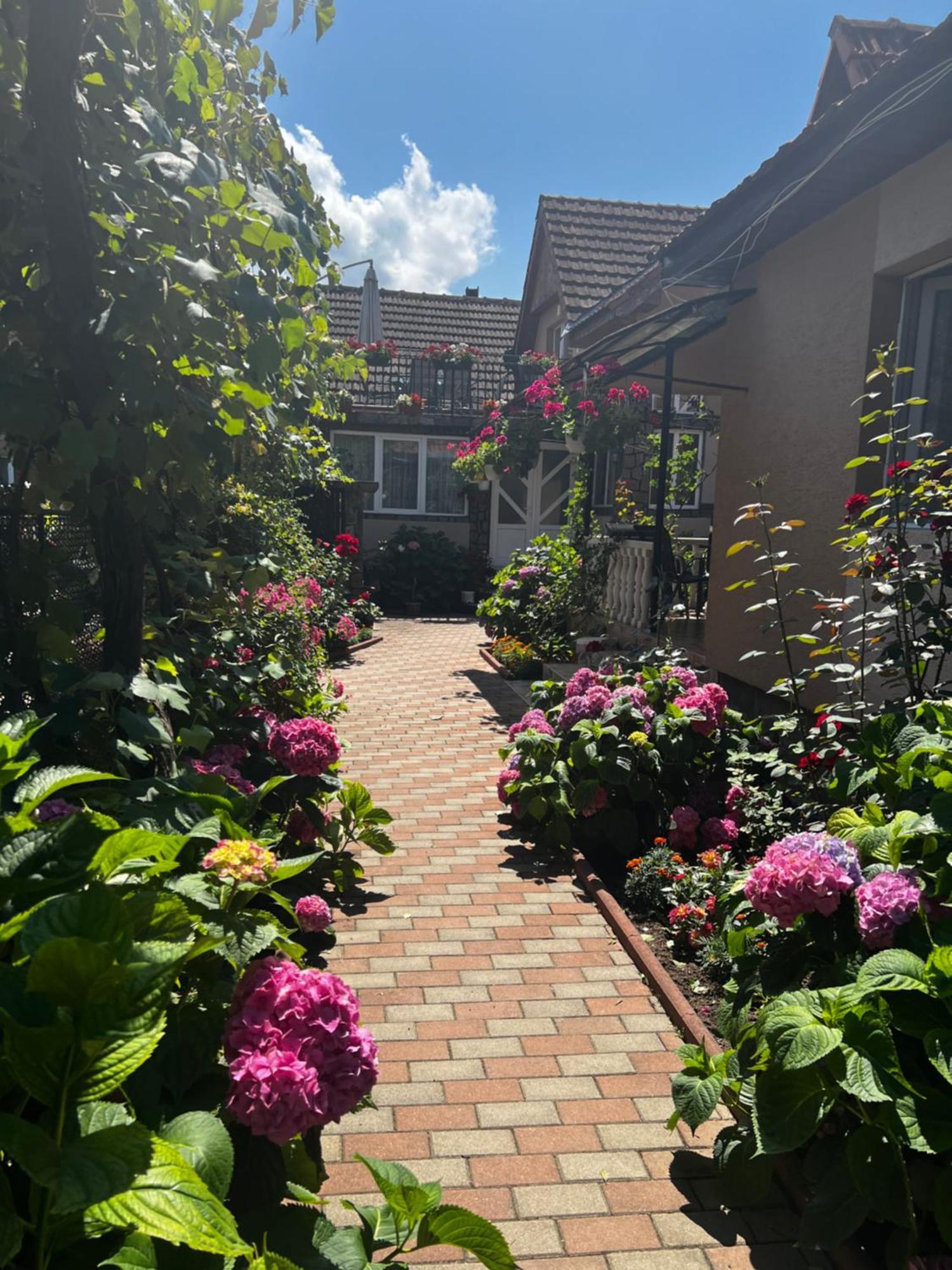 Hotel Casa Lidia Rîu de Mori Zewnętrze zdjęcie