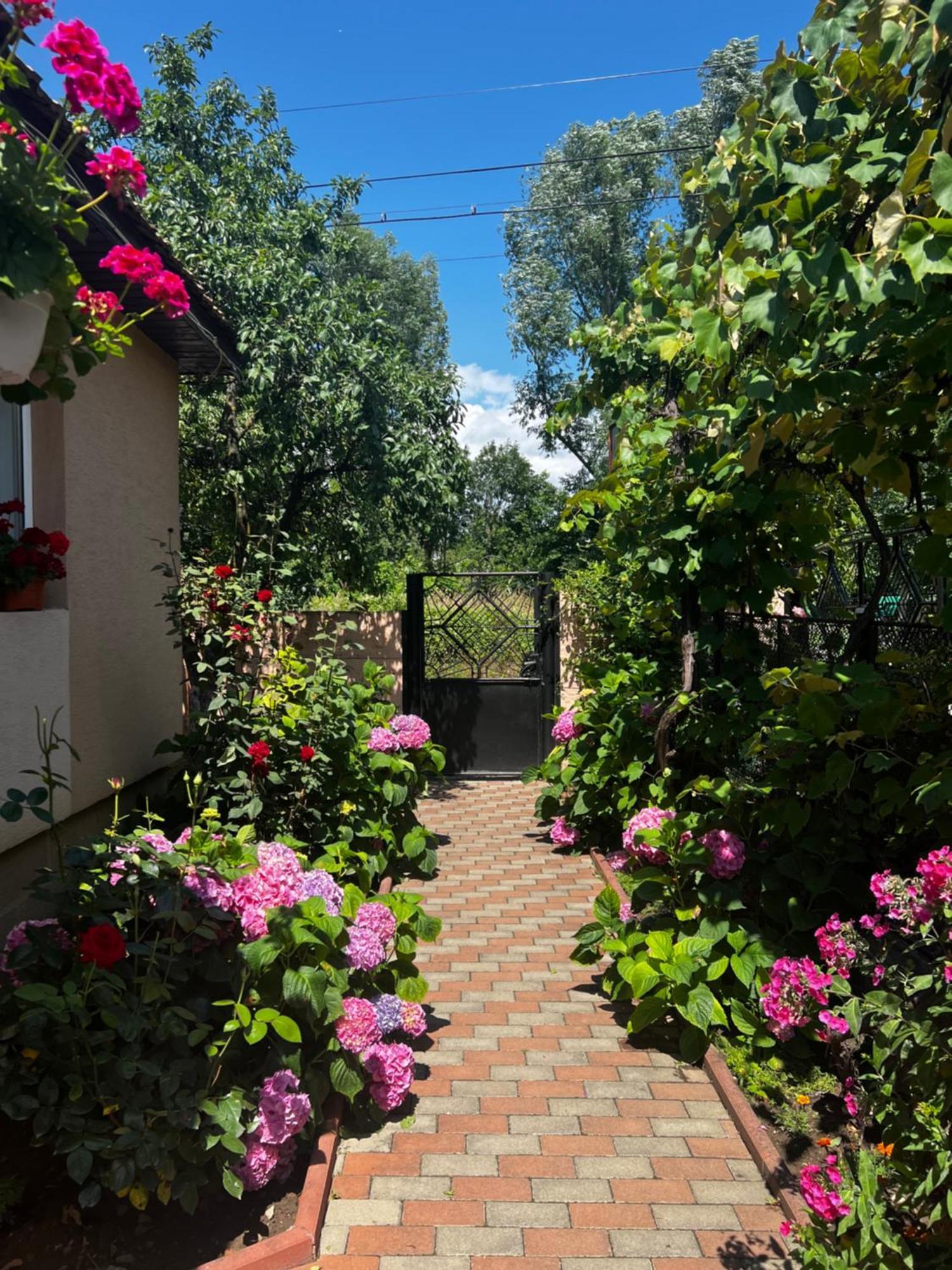 Hotel Casa Lidia Rîu de Mori Zewnętrze zdjęcie